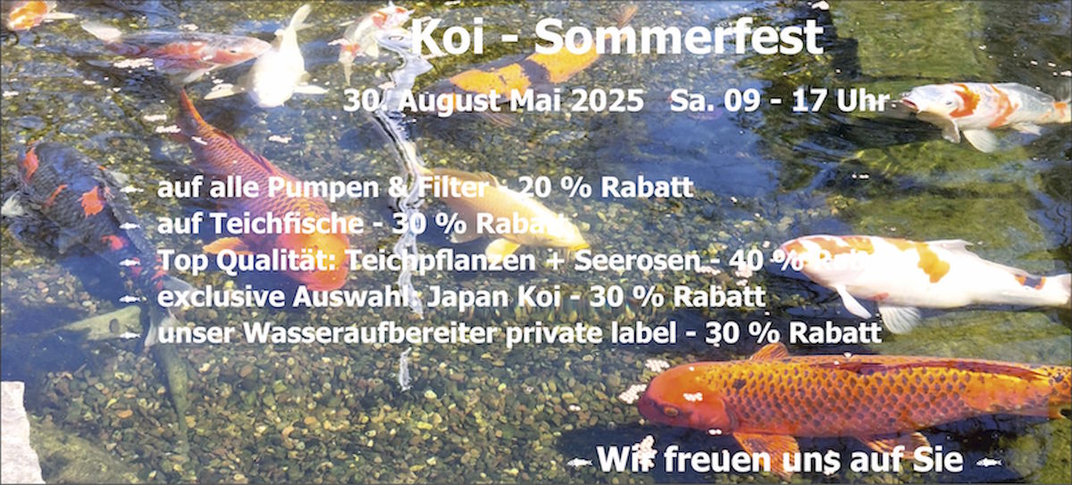 Sommerfest Einladung 2025